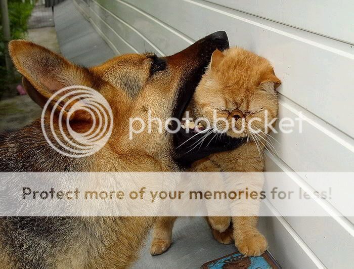 当美女碰到帅哥